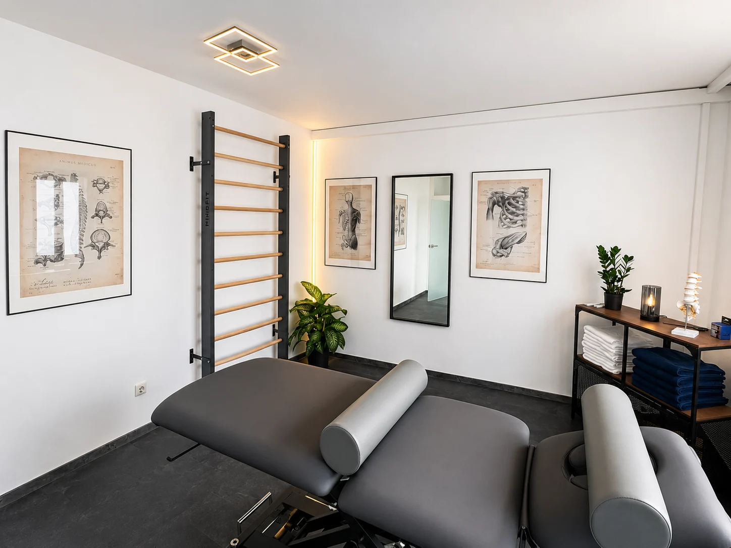 Moderner Behandlungsraum mit Therapieliege und anatomischen Illustrationen bei Movement Physio